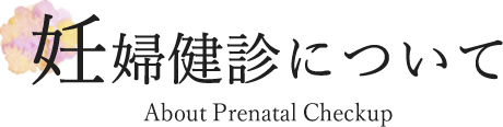 妊婦健診について About Prenatal Checkup