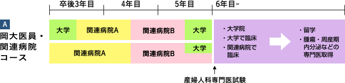 A.岡大医員・関連病院コース